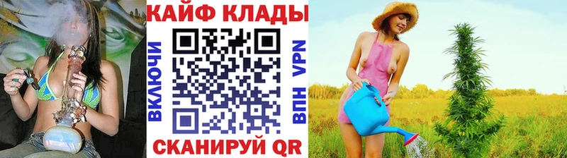 Виды наркотиков купить Богородицк Бошки Шишки Амфетамин A PVP Гашиш Кокаин