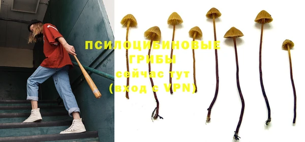 a pvp Белокуриха